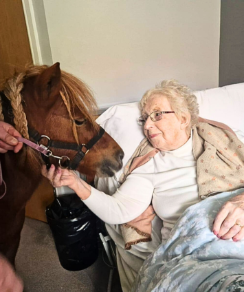 Pony Paradise!